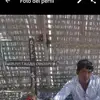 Rafael Alejos - @rafael.alejos3 - TikTok