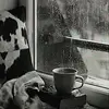 José Rafael Alvarez Altuna - @jos.rafael.alvare0 - TikTok