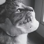 Rafael Ambriz - @rafael.ambriz.501 - Instagram