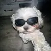 Rafael Antunes - @rafael.antunes86 - TikTok