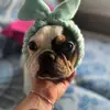 Rafael Antunes - @jack.sparrow477 - TikTok