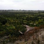 Rafael Aparicio - @rafael.aparicio.5268 - Instagram