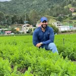 Rafael Aracena - @rafael_aracena - Instagram