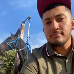 Rafael Araiza - @rafael.araiza.104 - Instagram