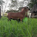Rafael Araiza Narvaez - @araizanarvaez - Instagram