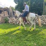 Rafael Araiza Rodríguez - @rafa_araiza_ - Instagram