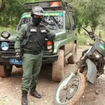 rafael_araque - @rafael_araque7 - Instagram