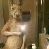 Rafael Arcos - @rafaelarcos7 - TikTok