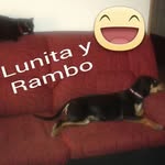 Rafael Arcos Torres - @rafaelarcostorres - Instagram