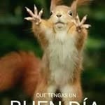 Rafael Arechiga - @rafael.arechiga.121 - Instagram