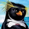 Rafael_ares - @rafaelaress - TikTok
