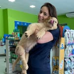 Rafaela Resende | Médica Veterinária - @drarafaelaresende.vet - Instagram