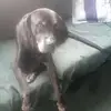 rafaelaroca98 - @rafaelaroca98 - TikTok