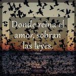 Rafael Arribas - @rafael.arribas.56 - Instagram