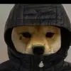rafaelarthur - @rafaelarthur467 - TikTok