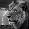 Rafael Astorga925 - @rafaelastorga925 - TikTok