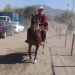Rafael Barraza - @rafael.barraza.14606936 - Instagram