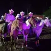 Rafael Borquez477 - @rafaelborquez477 - TikTok