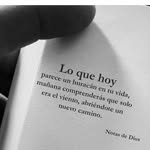 Rafael Borquez - @zomber.peoe - Instagram