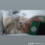 Rafael Braun - @rafael.braun.79 - Instagram