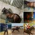 Rafael Britos - Facebook