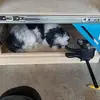 rafael camarena - @rafael.camarena47 - TikTok
