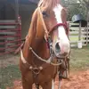 Rafael Cano - @rafaelcano02 - TikTok