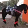 Rafael Cerda - @rafaelcerda0 - TikTok