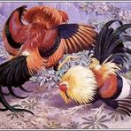 Rafael Chan - Facebook