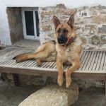 rafael chico chico - @rafaelchicochico - Instagram