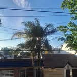 Rafael Davalos - @rafael.davalos.501 - Instagram