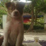 Rafael - @rafaeldeandra - Instagram