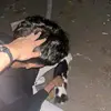 TakoDean - @dean.rafael - TikTok