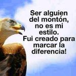 Rafael Donado - @rafael.donado50 - Instagram