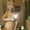 RAFAEL ESTEVES - @rafael_esteves.1324 - TikTok