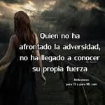rafael gali - @rafaelgali - Instagram