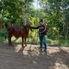 Rafael Galindo - @rafael.galindo74 - TikTok