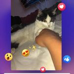 Rafael Holguin - @rafael_rdzholguin - Instagram