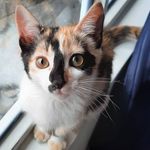 Rafael Ibanez - @ibanez_rafael - Instagram