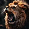 kingrafael12 - @kingrafael12 - TikTok