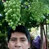 lago 🇵🇪🇮🇹 - @rafaellago40 - TikTok