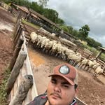 Rafael Leal - @rl.agronegocios - Instagram