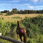 Rafael Leiva - @rafael.leiva.779 - Instagram
