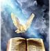 Rafael Lino - Facebook