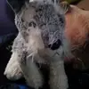 Rafael Loa - @rafael.loa6 - TikTok