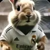 Rafael Lorenzo - @rafael.lorenzo991 - TikTok
