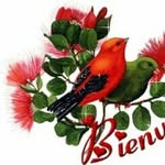 Rafael lux - @rafael.com.50 - Instagram
