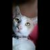 Rafael McKenzie - Facebook