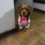 rafael mero - @rafaelmeroamun - Instagram