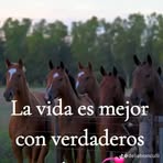 Rafael Monzon - Facebook